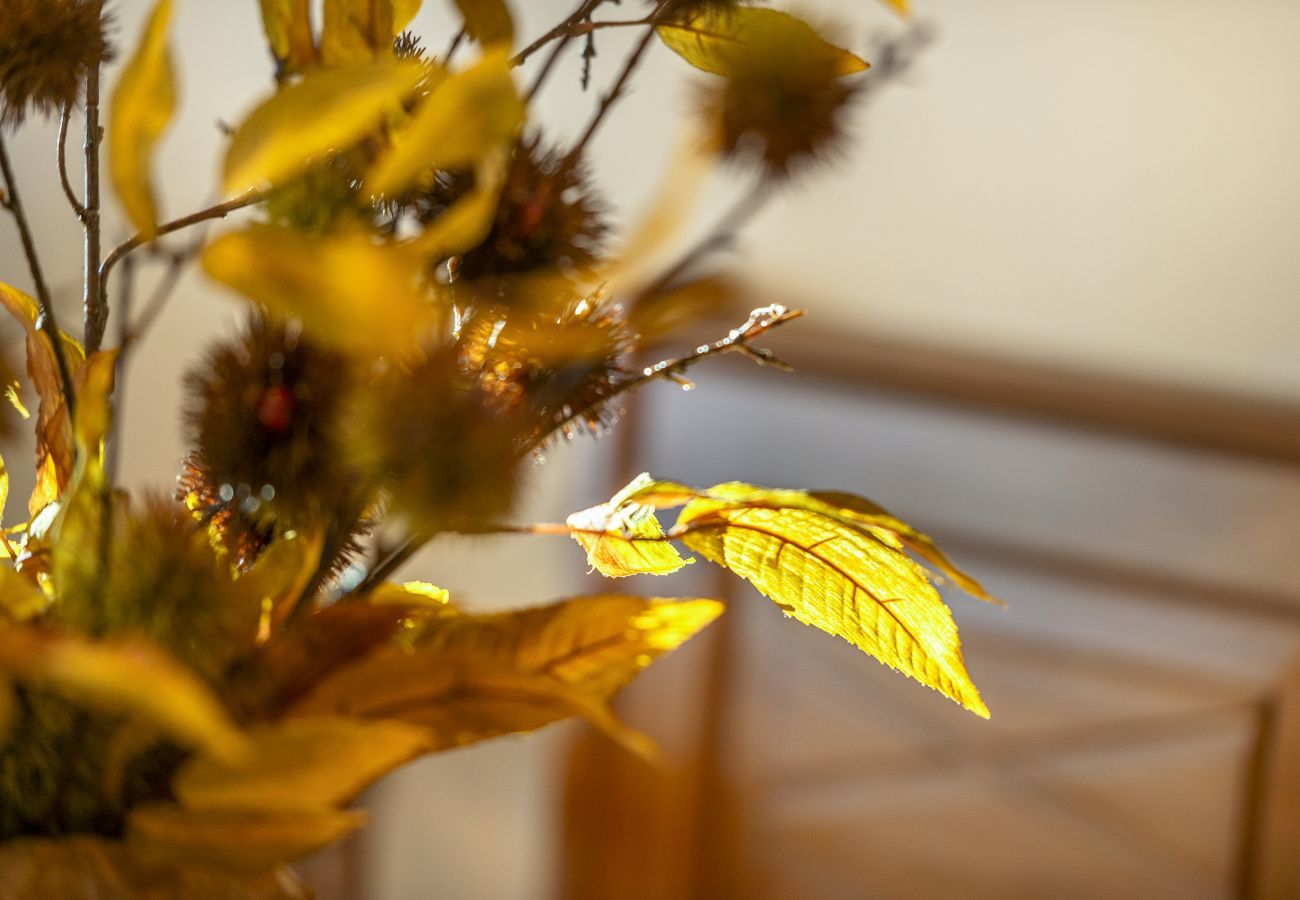 Ferienwohnung in Cortina d´Ampezzo - Cianderies Cozy Apartment R&R