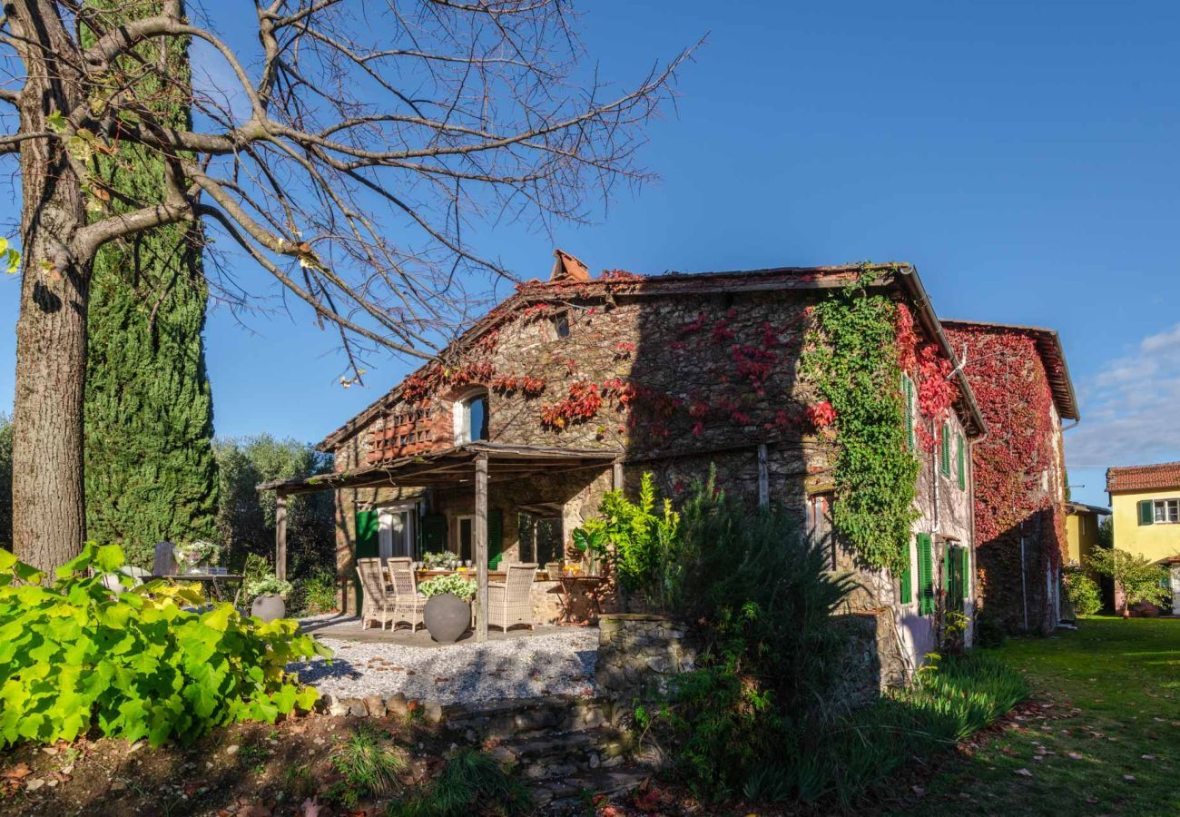 Villa in San Lorenzo di Moriano - Uva Cottage Farmhouse