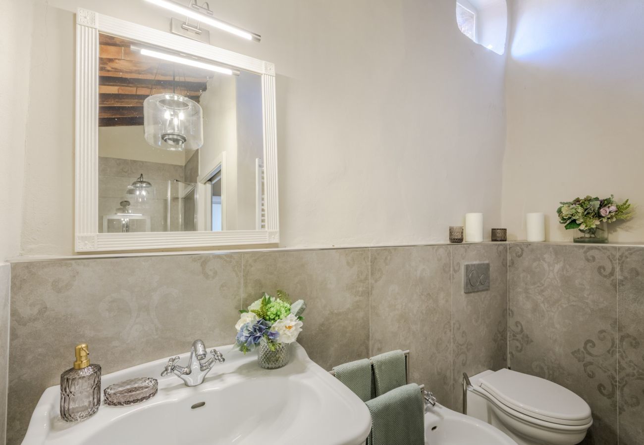 Villa in San Lorenzo di Moriano - Uva Cottage Farmhouse