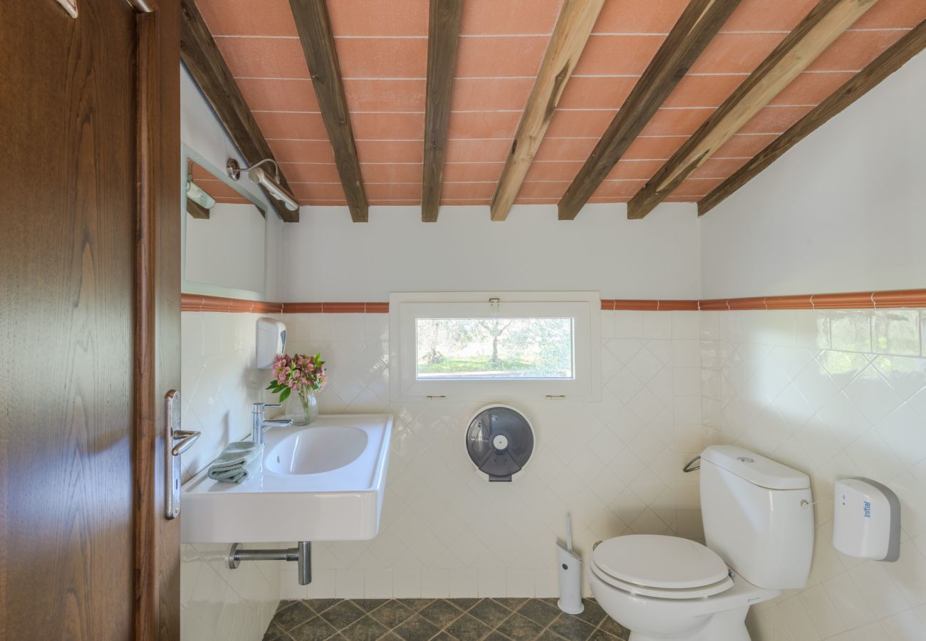 Villa in Capannori - Corte Benedetto