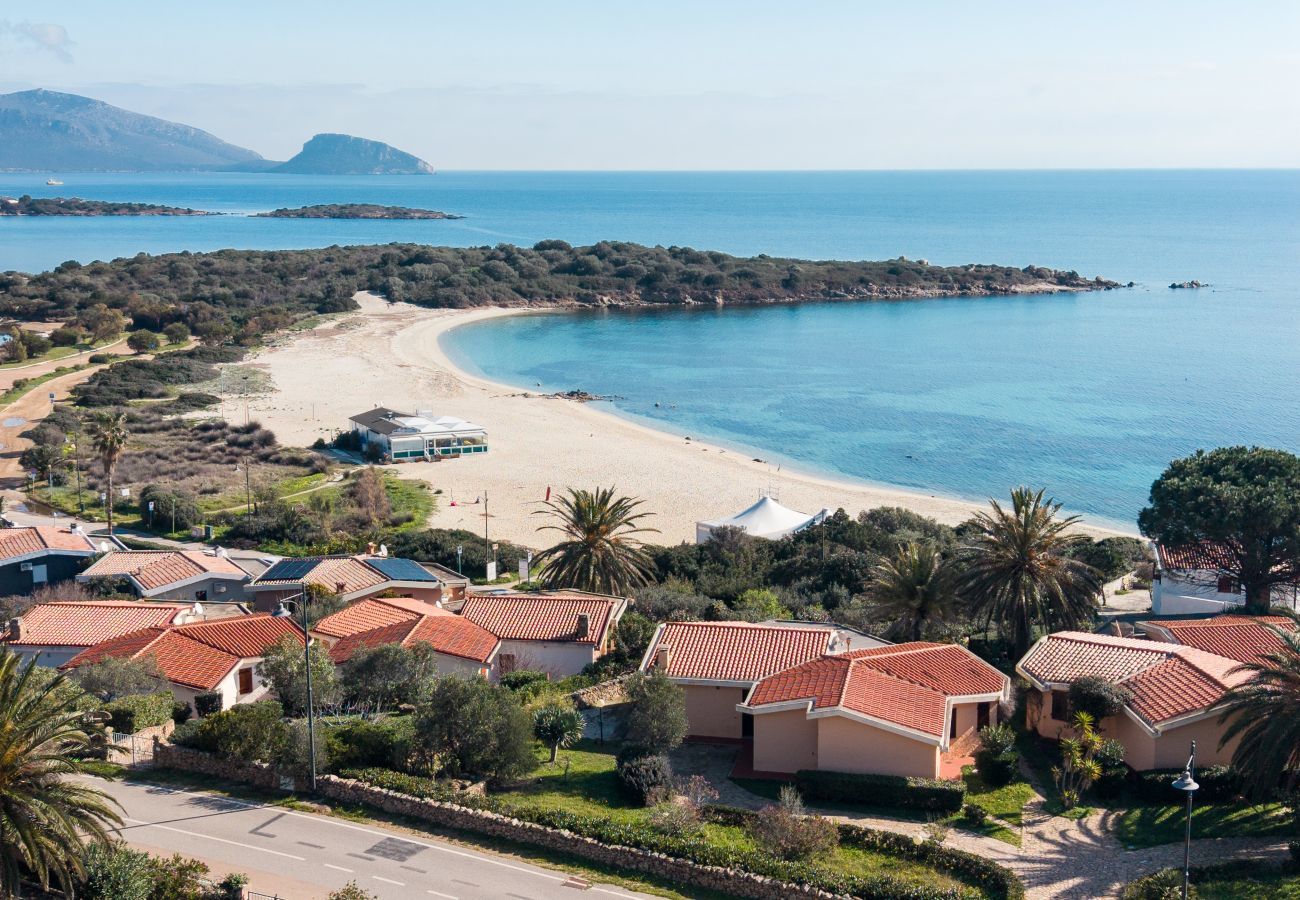Ferienwohnung in Olbia - Arvella Stay I