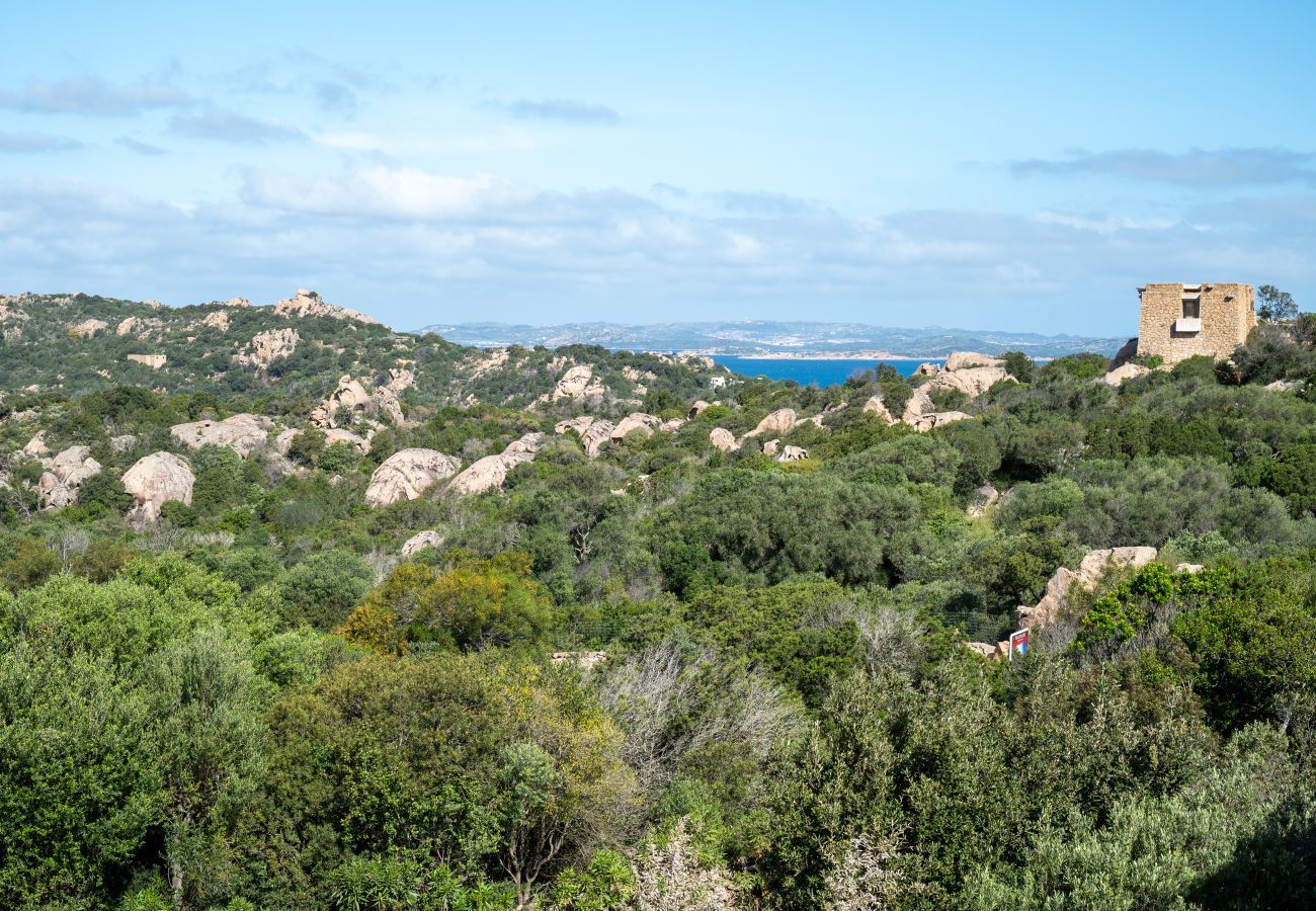 Chalet in Porto Cervo - Leucia Cervo 