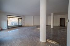Commercial space in Olbia - Commercial space Olbia, 3 windows, facing main street