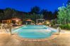 Villa in Camaiore - Bicocche Stone Farmhouse Villa in Camaiore - Bicocche Stone Farmhouse