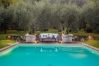 Villa in Camaiore - Villa Label Villa in Camaiore - Villa Label