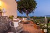 Villa in Capannori - Fattoria Camigliano Wine Estate Villa in Capannori - Fattoria Camigliano Wine Estate