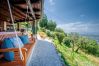 Villa in Pescia - Sospirata Farmhouse Villa in Pescia - Sospirata Farmhouse