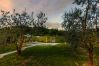 Villa in Lucca - Amore Farmhouse Retreat