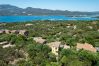 Apartment in Porto Rotondo - Caletta Nest 88