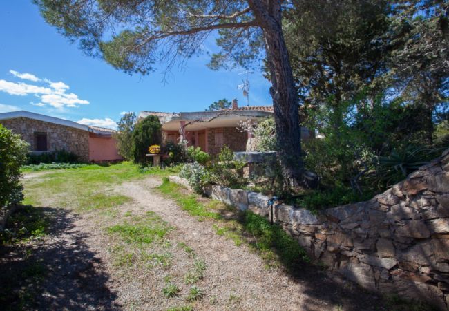 Chalet in Olbia - Villa Bados 6  - 150 meters Bados beach