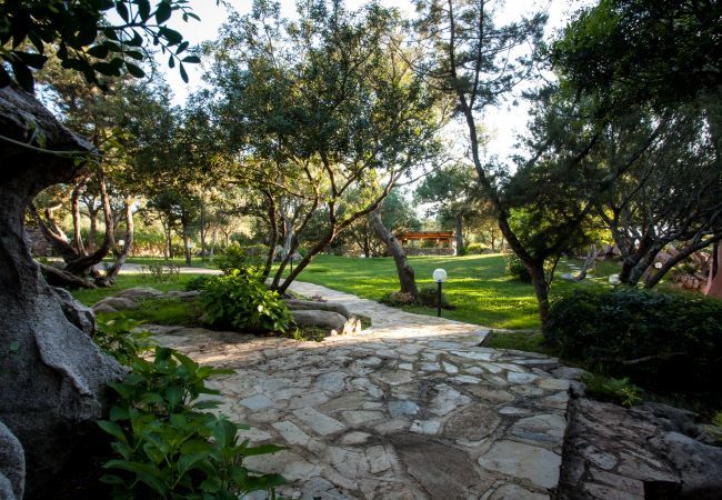 Villa in Porto Rotondo - Villa Sa Jaga Villa in Porto Rotondo - Villa Sa Jaga