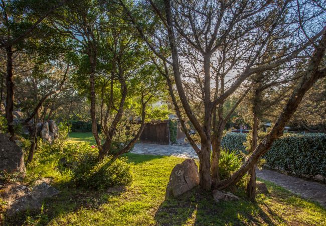 Villa in Porto Rotondo - Villa Sa Jaga Villa in Porto Rotondo - Villa Sa Jaga