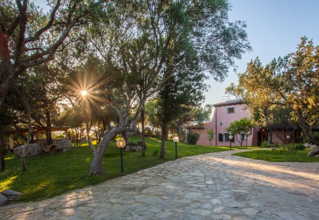 Villa in Porto Rotondo - Villa Sa Jaga Villa in Porto Rotondo - Villa Sa Jaga