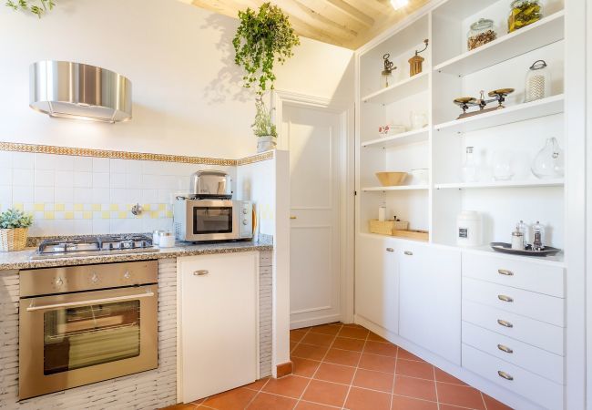 Apartment in Lucca - A Toproof Penthouse Apartment with Elevator and Private Garden Inside the Walls