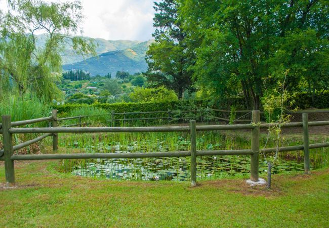 Villa in Camaiore - Bicocche Stone Farmhouse Villa in Camaiore - Bicocche Stone Farmhouse
