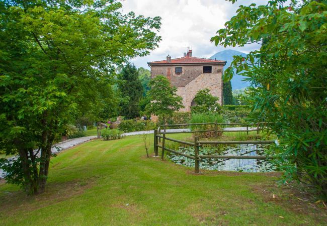Villa in Camaiore - Bicocche Stone Farmhouse Villa in Camaiore - Bicocche Stone Farmhouse