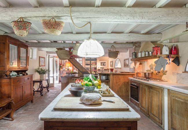 Villa in Migliarino - La Limonaia Villa in Migliarino - La Limonaia