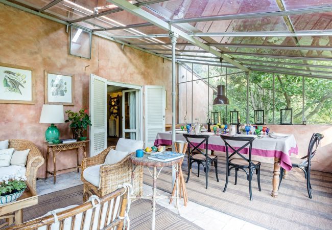 Villa in Migliarino - La Limonaia Villa in Migliarino - La Limonaia