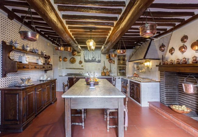 Villa in Lucca - Villa Rosita Villa in Lucca - Villa Rosita