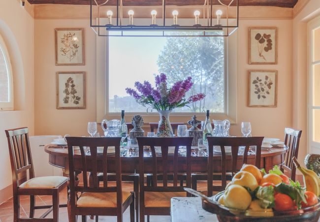 Villa in Maggiano - Villa Medea Villa in Maggiano - Villa Medea