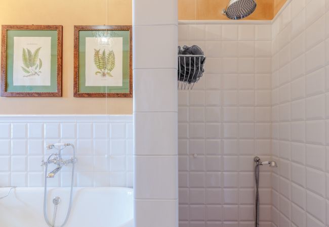 Villa in Maggiano - Villa Medea Villa in Maggiano - Villa Medea