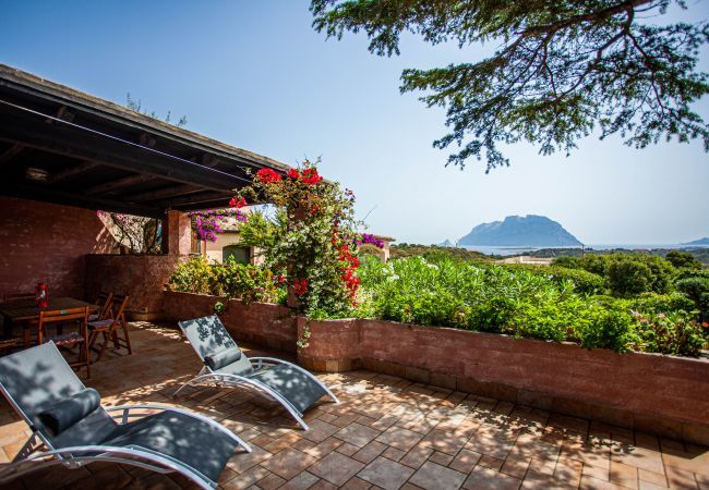 Villa in Olbia - Villa Kalè  - eclectic home in Costa Corallina