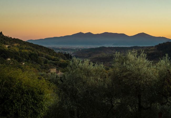 Villa in Lucca - Villa Gufo Villa in Lucca - Villa Gufo