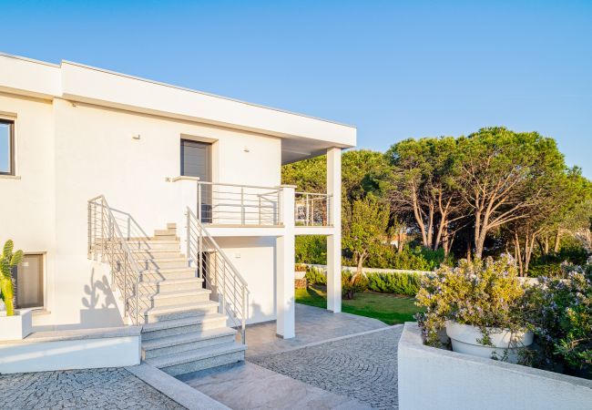 Apartment in Olbia - WLofts 11 Apartment in Olbia - WLofts 11