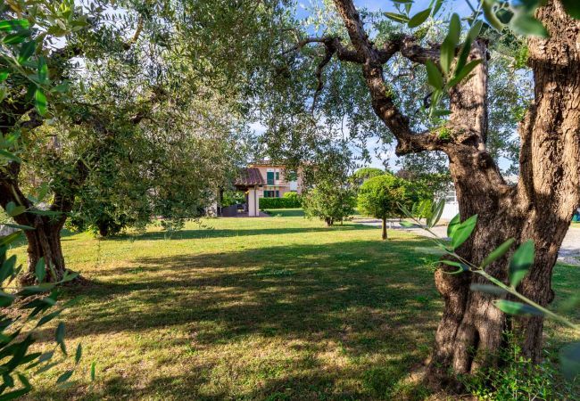 Villa in Lucca - Nonna Bianca Farmhouse Villa in Lucca - Nonna Bianca Farmhouse