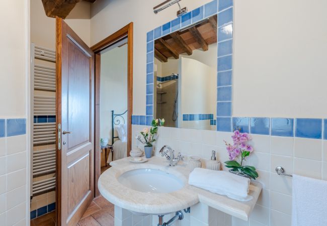 Villa in Lucca - Tuscan Fizz Villa, a Vineyards Retreat Villa in Lucca - Tuscan Fizz Villa, a Vineyards Retreat