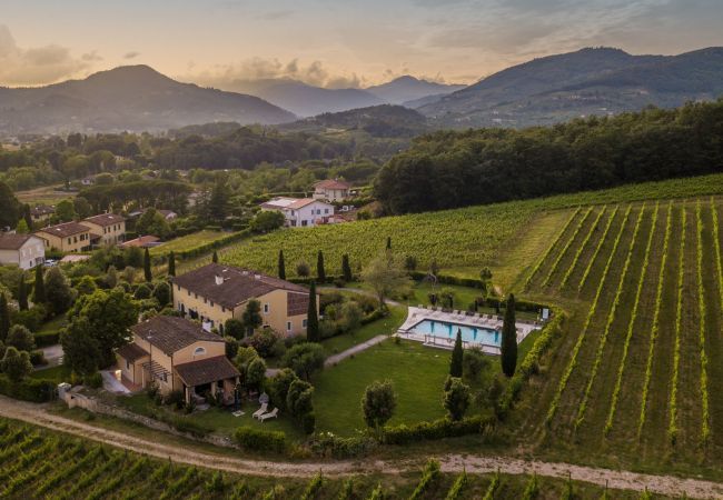 Villa in Monte San quirico - Cicale Farmhouse, 3 bedrooms Farmhouse with Pool Villa in Monte San quirico - Cicale Farmhouse, 3 bedrooms Farmhouse with Pool