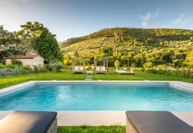 Villa in Capannori - Villa Ester Villa in Capannori - Villa Ester