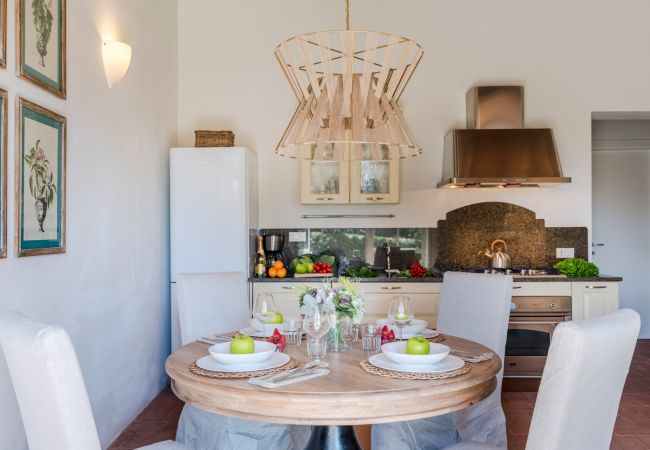 Apartment in San Gennaro - Casa Pinocchio at Borghetto Farmhouse Apartment in San Gennaro - Casa Pinocchio at Borghetto Farmhouse