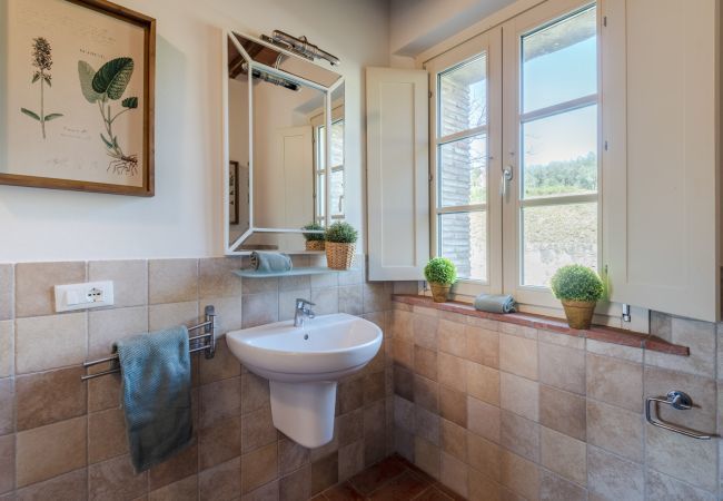 Apartment in San Gennaro - Casa Pinocchio at Borghetto Farmhouse Apartment in San Gennaro - Casa Pinocchio at Borghetto Farmhouse