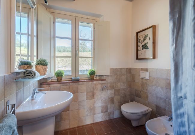 Apartment in San Gennaro - Casa Pinocchio at Borghetto Farmhouse Apartment in San Gennaro - Casa Pinocchio at Borghetto Farmhouse