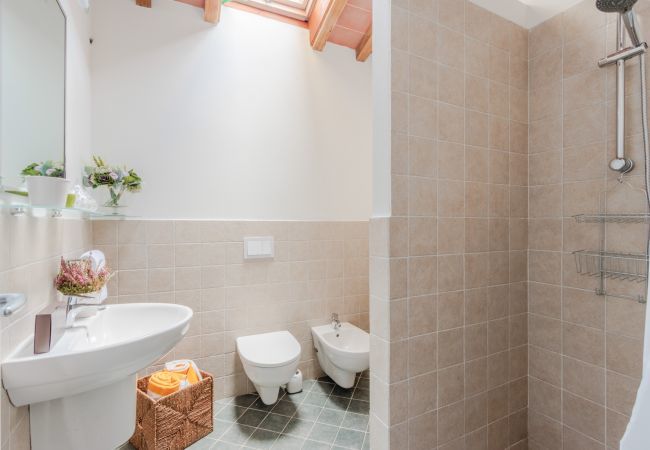 Apartment in San Gennaro - Casa Santo at Borghetto Farmhouse Apartment in San Gennaro - Casa Santo at Borghetto Farmhouse