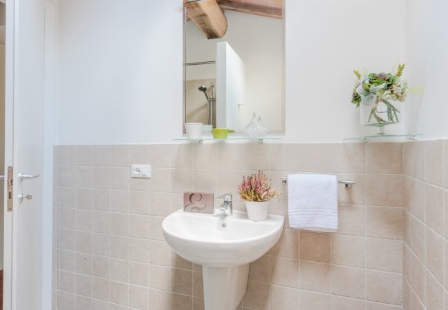 Apartment in San Gennaro - Casa Santo at Borghetto Farmhouse Apartment in San Gennaro - Casa Santo at Borghetto Farmhouse