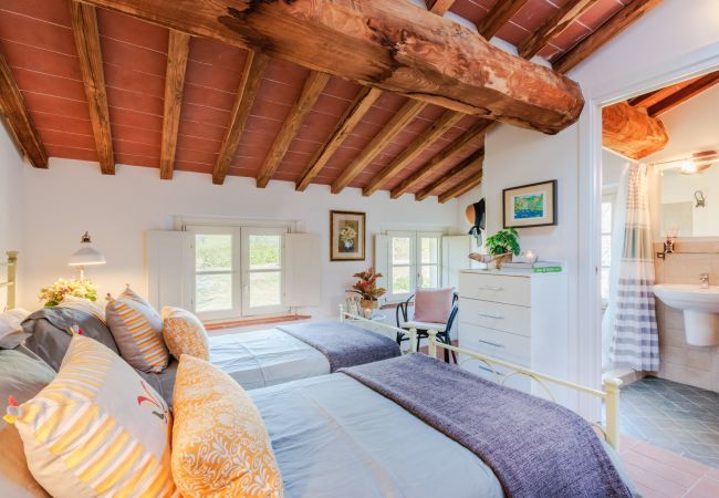 Apartment in San Gennaro - Casa Noscali at Borghetto Farmhouse Apartment in San Gennaro - Casa Noscali at Borghetto Farmhouse