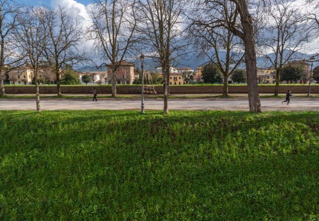 Apartment in Lucca - Casa Daria Apartment in Lucca - Casa Daria