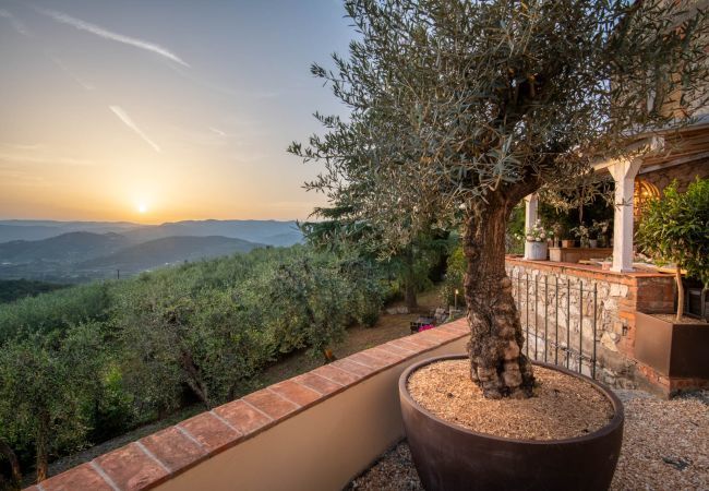 Villa in Monsummano Terme - Le Due Terre Farmhouse Villa in Monsummano Terme - Le Due Terre Farmhouse