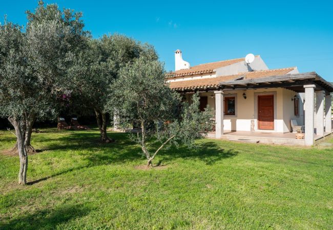 Villa in Olbia - Villa Calyra Villa in Olbia - Villa Calyra