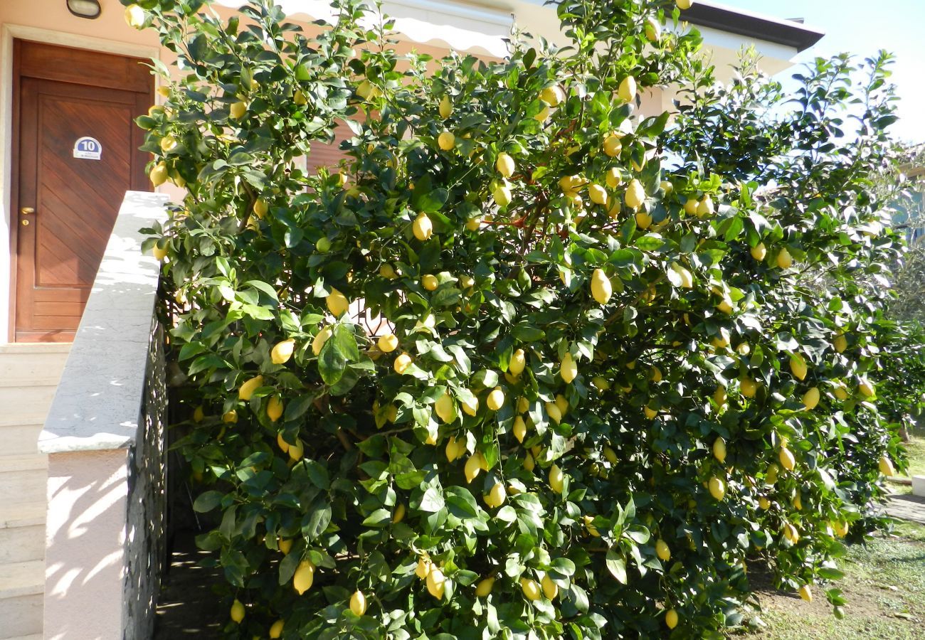 House in Lazise - Regarda - Villa Olivi 10 in Lazise with pool, terrace, wifi, garden