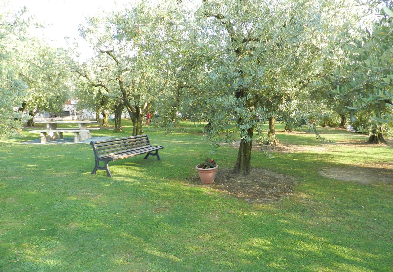 Residence in Lazise - Regarda – apartment ground floor Allegra apartment complex in Lazise with pool