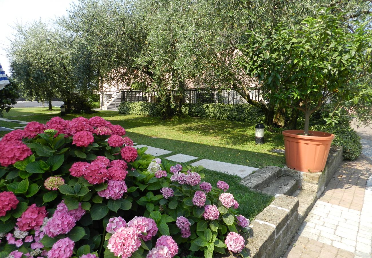 Residence in Lazise - Regarda – apartment ground floor Allegra apartment complex in Lazise with pool