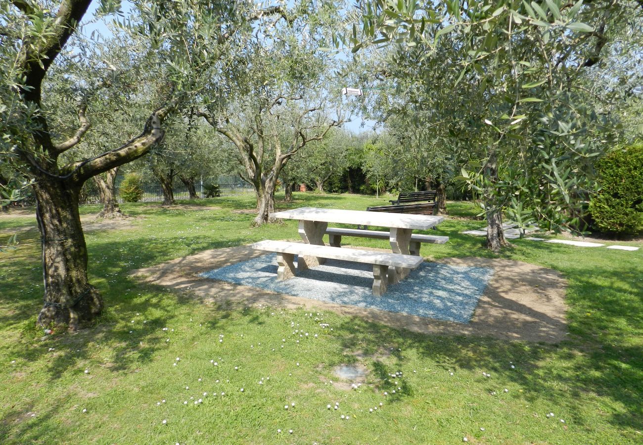 House in Lazise - Regarda - Villa Olivi 9 in Lazise with pool, terrace, wifi, garden