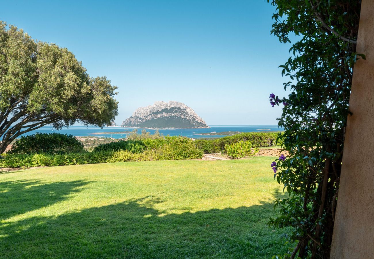 Villa in Porto San Paolo - Villa Alberto