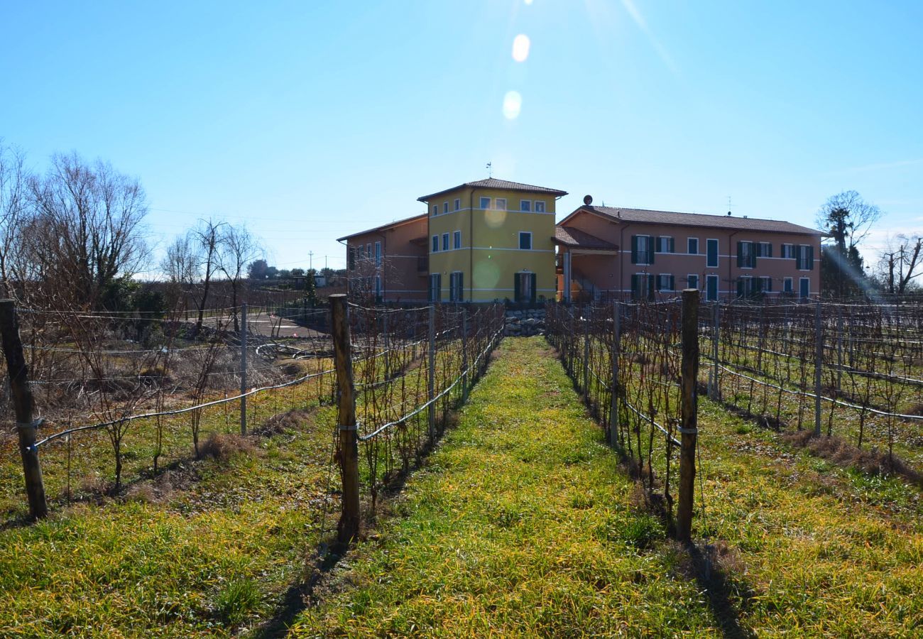 Farm stay in Bardolino - Quiet Tenuta in Bardolino in the vineyards with pool,  wifi and airco