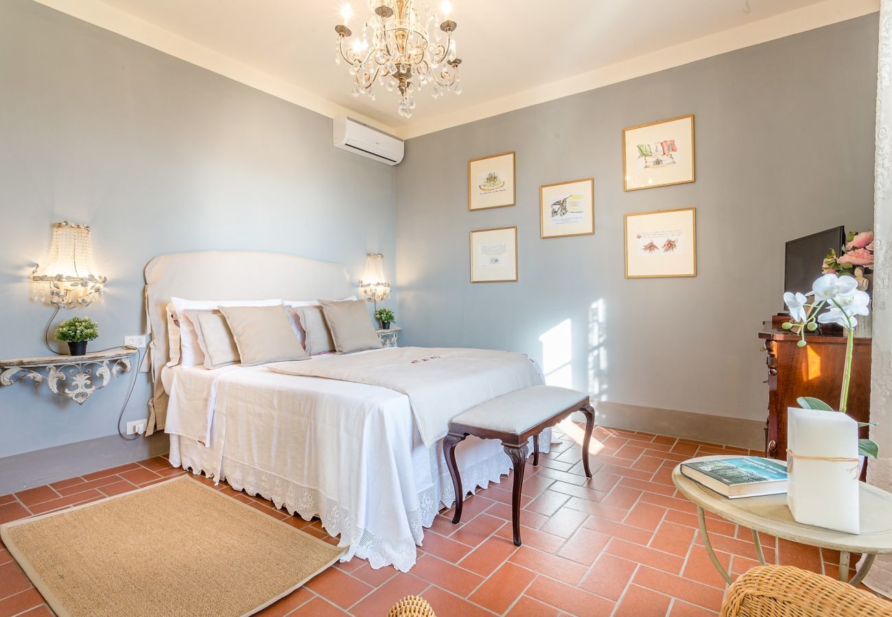 Villa in Lucca - Villa Alberta