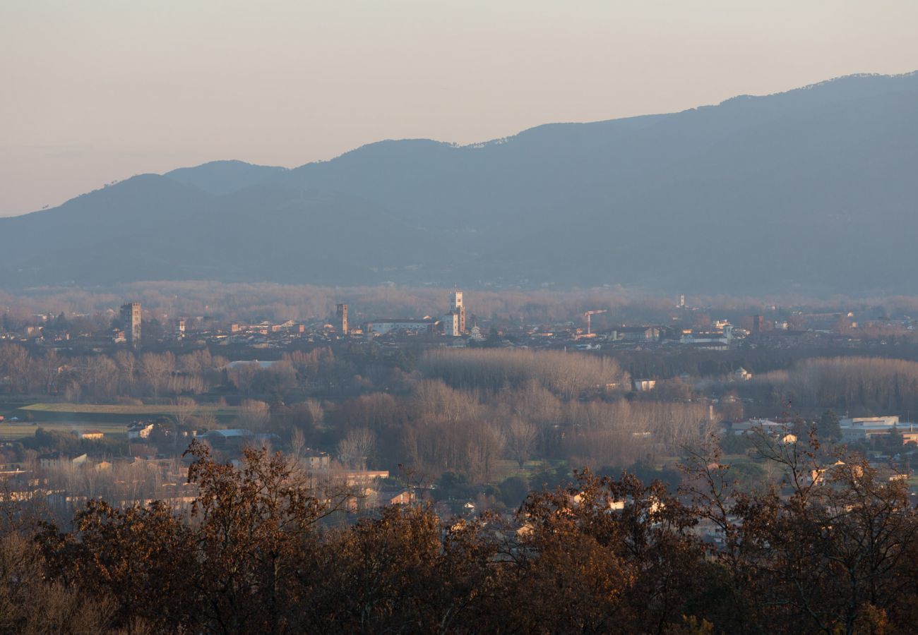 Villa in Lucca - Villa Alberta