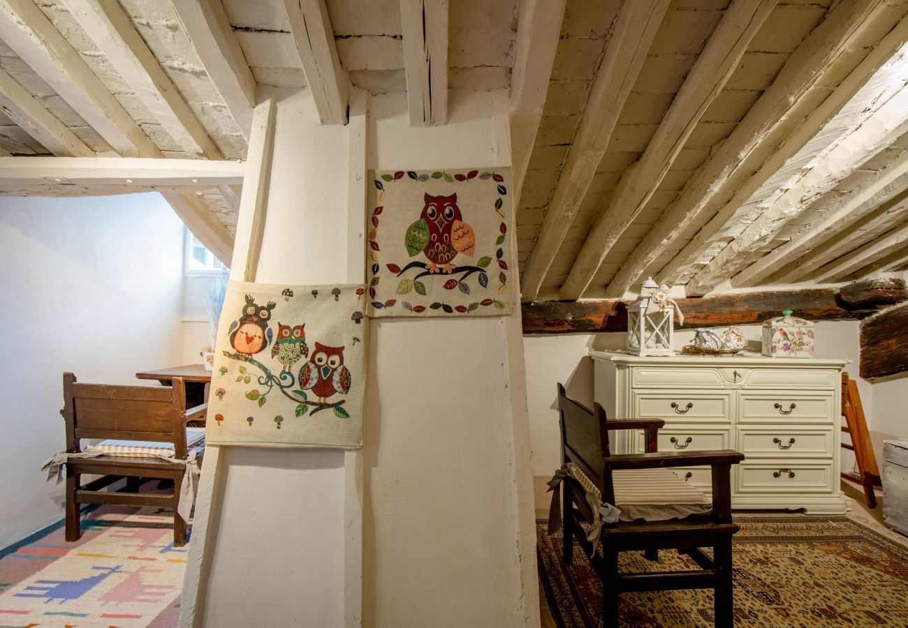 Apartment in Lucca - Casa Uccellini